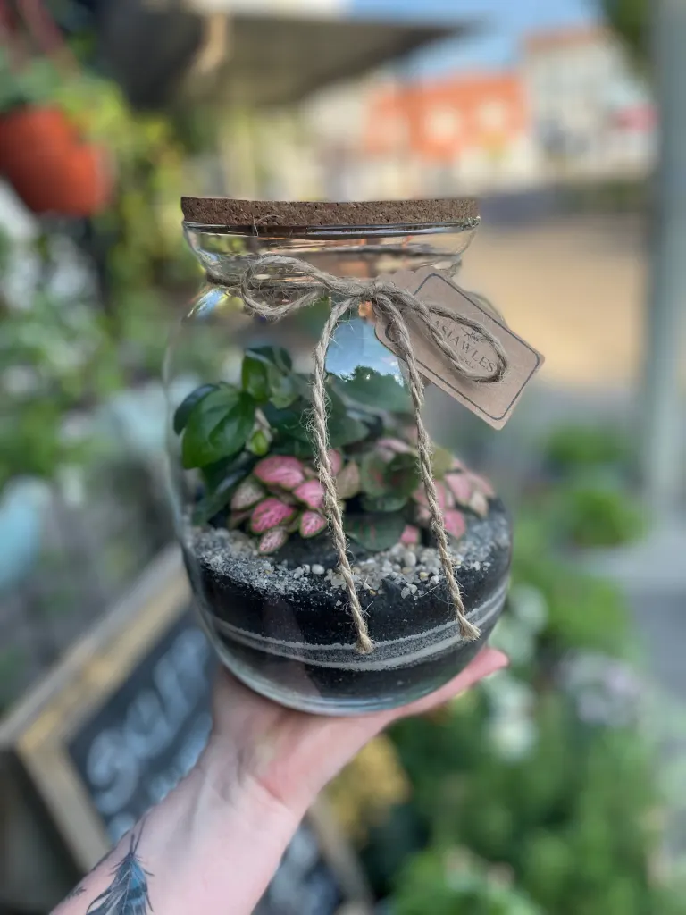 Las w szkle - model Mini