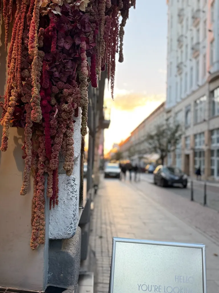 Kaskada suszonego szarłatu na fasadzie kamienicy przy wejściu do lokalu